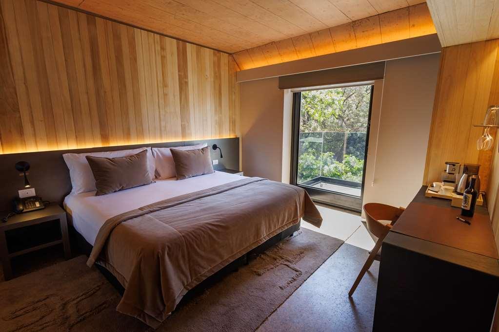 Hualta Mendoza, Curio Collection By Hilton Hotel Mendoza