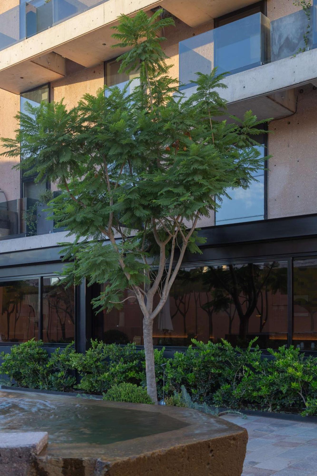 Hualta Mendoza, Curio Collection By Hilton 4* Mendoza